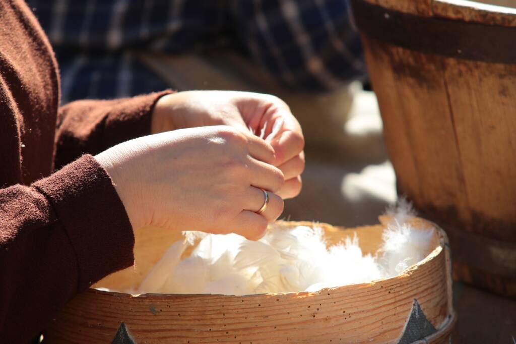 pierzaki 050921 009 2025 03 01 225559