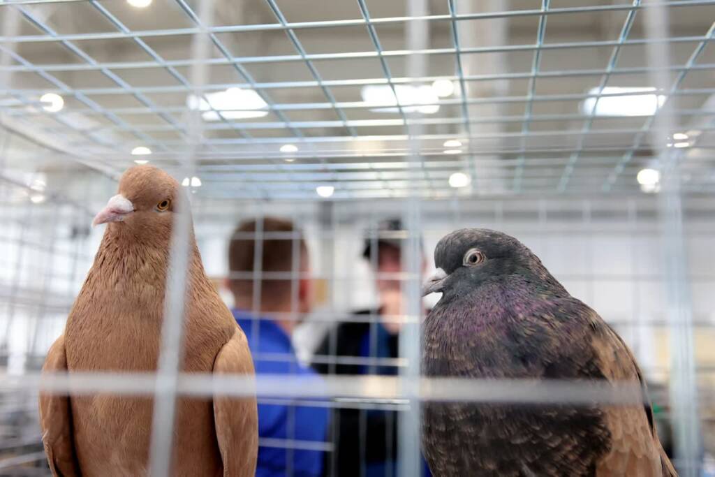 pm zoopark080325 010 2025 03 08 153228