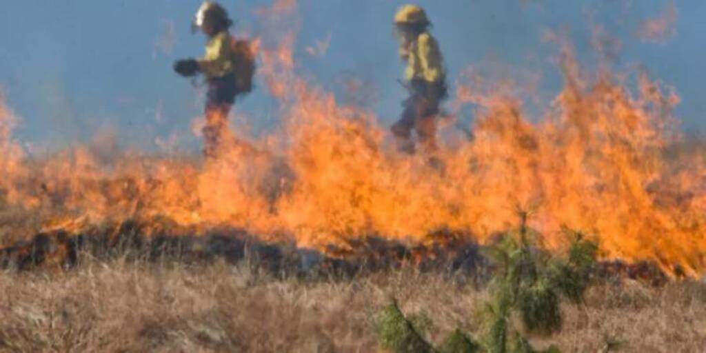 pozar 2024 03 11 164057 750x375 2024 03 25 204805 750x375 2025 03 07 173738