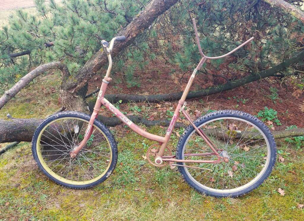 „Ich pomysłowość jest duża”. Kradną drewno z lasu nawet rowerami 2 rower 2025 03 11 162359