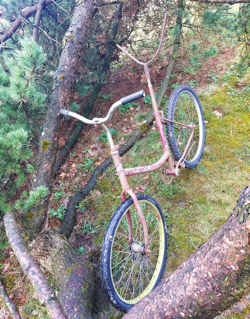 „Ich pomysłowość jest duża”. Kradną drewno z lasu nawet rowerami 2 rower2.jpg