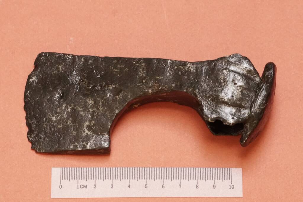 topor 2025 03 12 191824