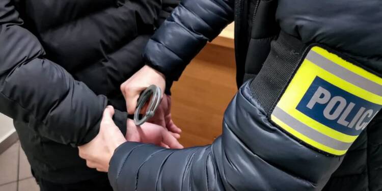 117 180295 2025 03 21 132848 2025 04 29 115049