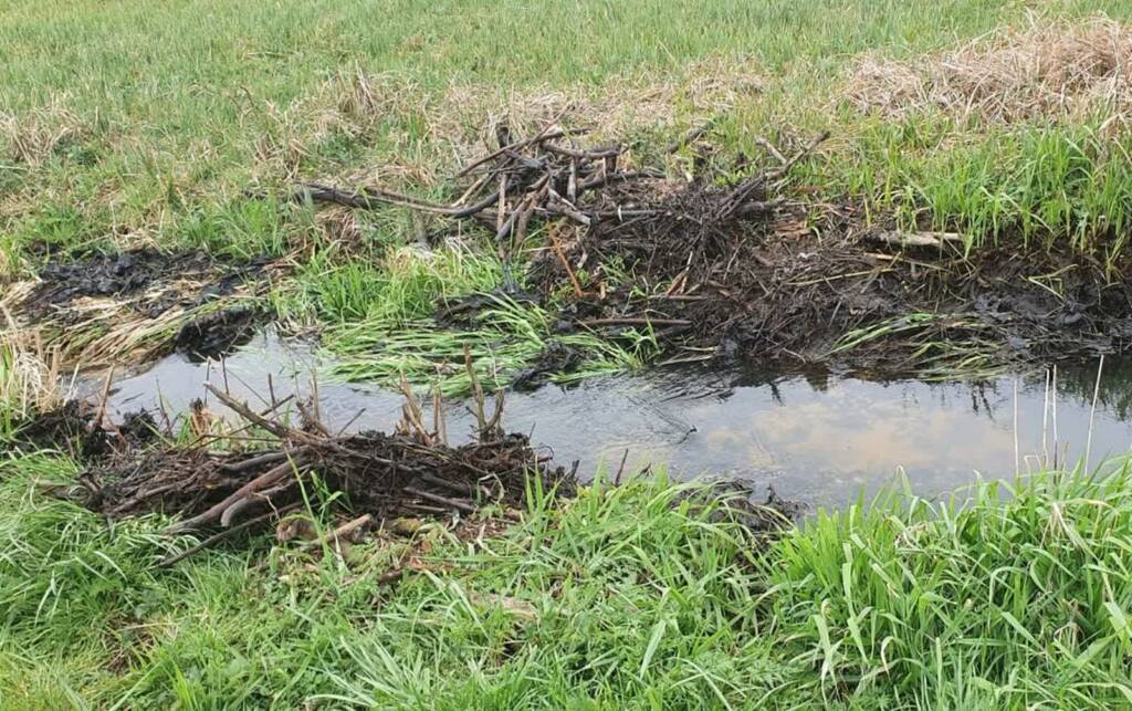 357 264525 2025 04 16 142732