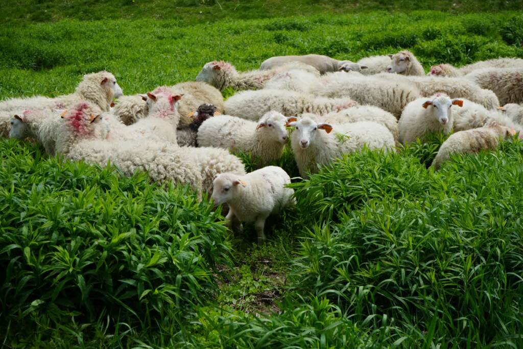 494449643 1109804304514976 4232131951746566776 n 2025 04 30 142433