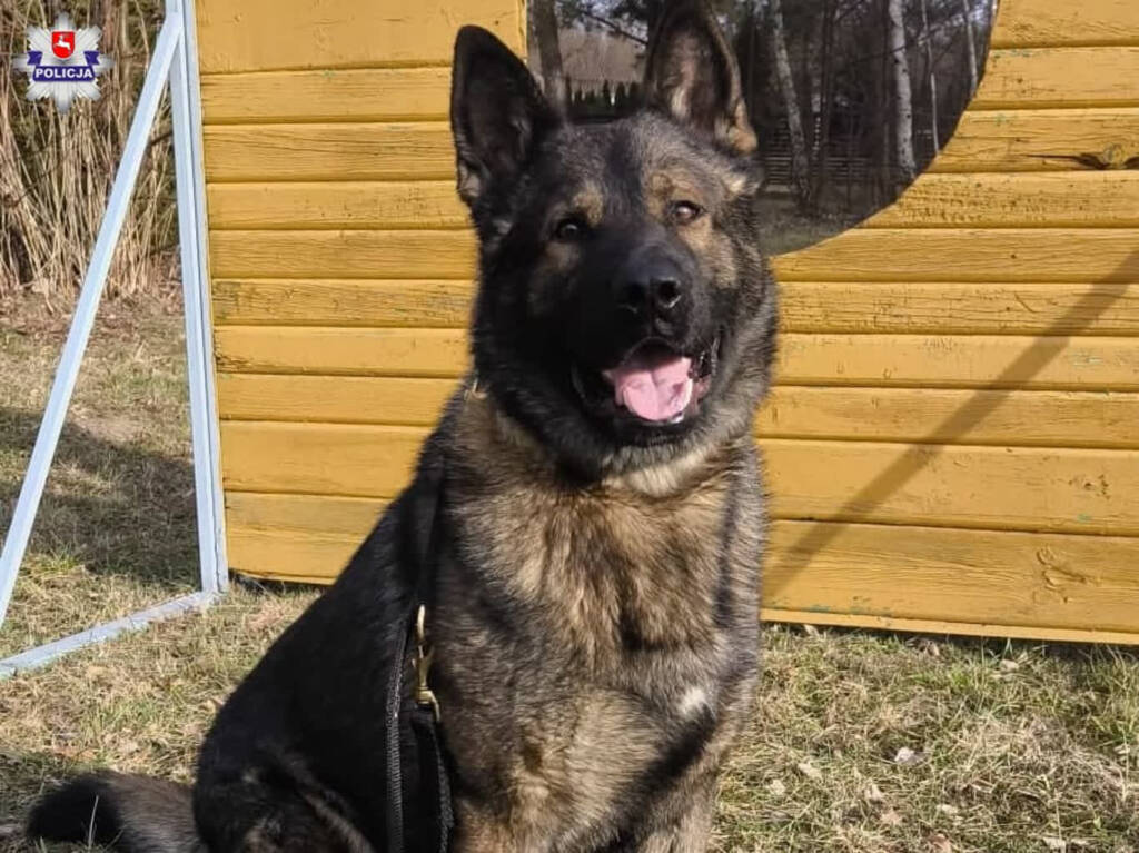 68 264440 2025 04 15 131916