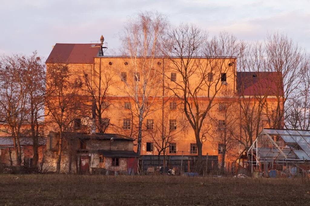 78382259 2856563564354788 6298878888898461696 n 2025 04 29 114644