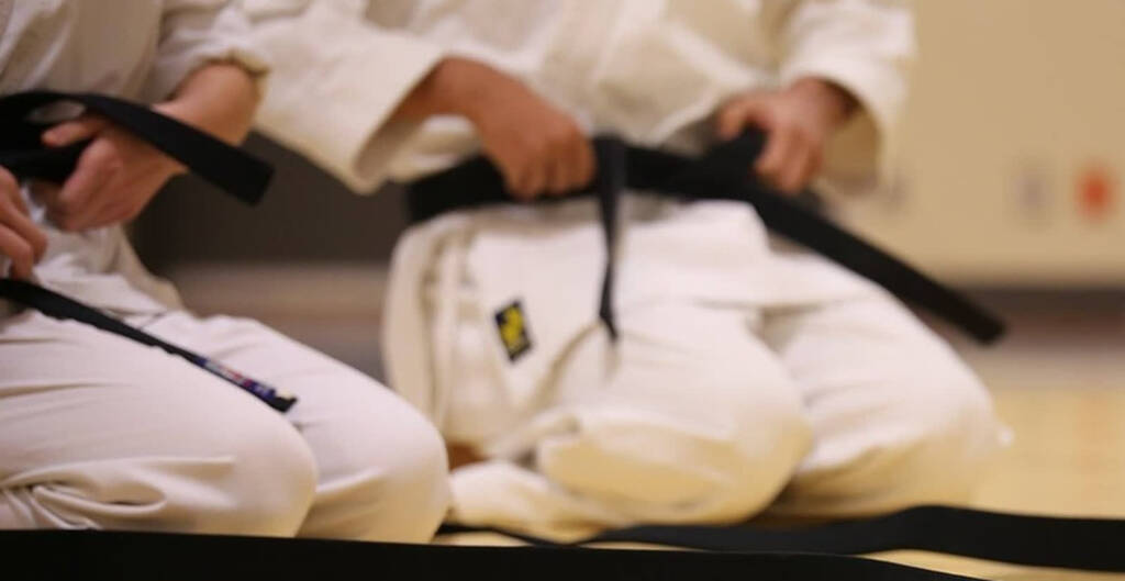 black belt 894190 1280 2025 04 23 165456 2025 04 28 211552