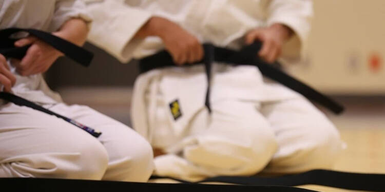 black belt 894190 1280 2025 04 23 165456 2025 04 28 211552