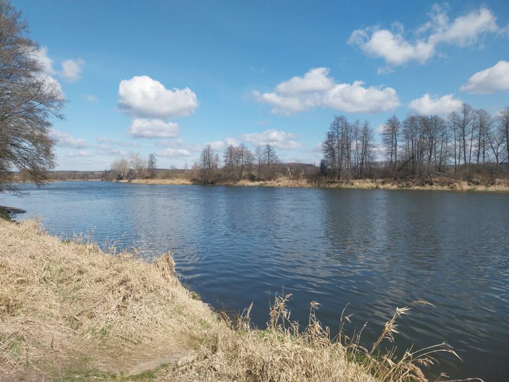 bug 1 2025 04 09 174742