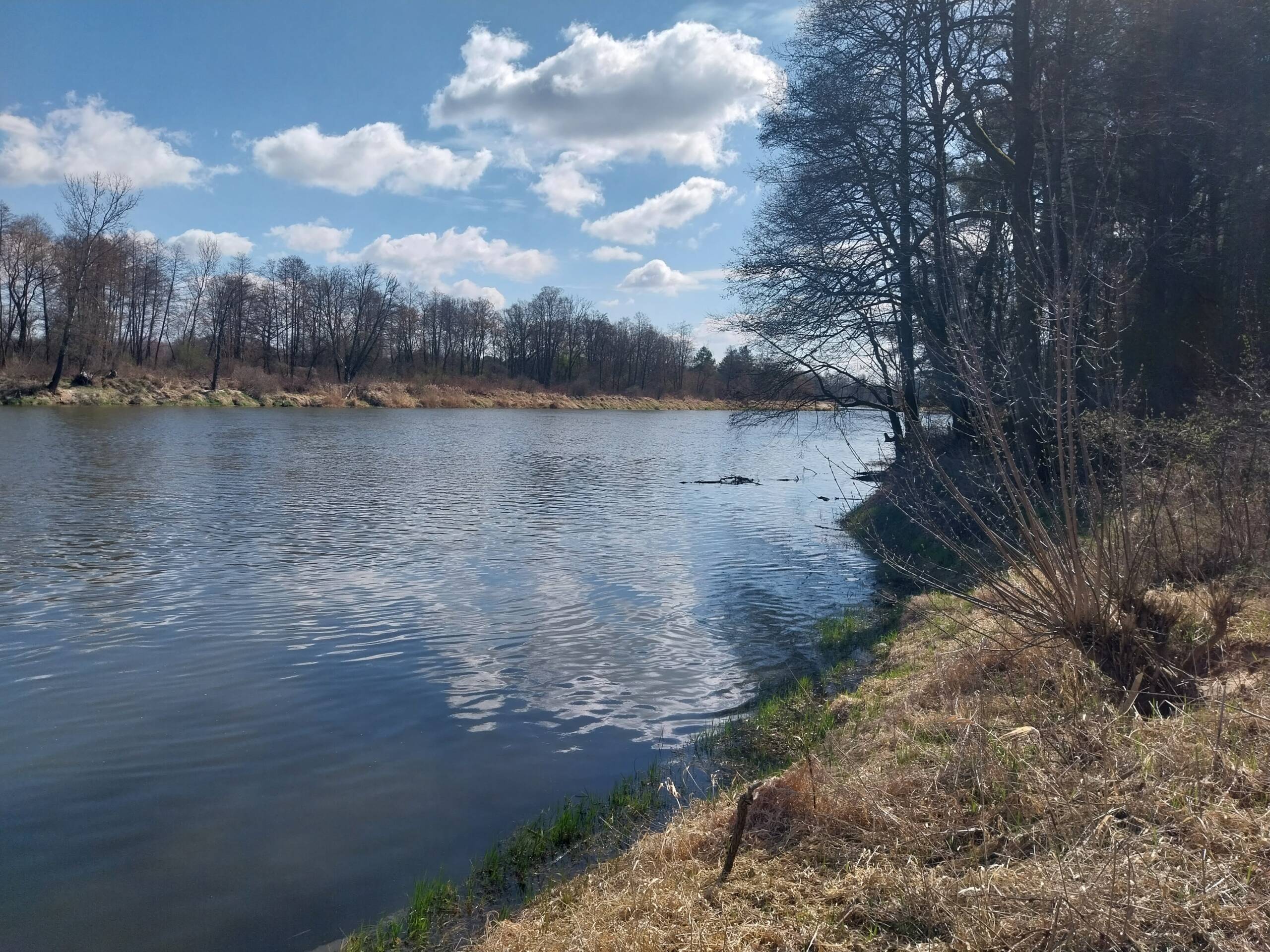 Gnojno i Niemirów bez przeprawy promowej. Wszystko przez niski poziom wody 2 bug 2.jpg