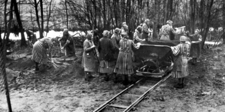 Obozowa rzeczywistość na wystawie w centrum Lublina 1 bundesarchiv bild 183 1985 0417 15 ravensbruck konzentrationslager 2025 04 24 085427