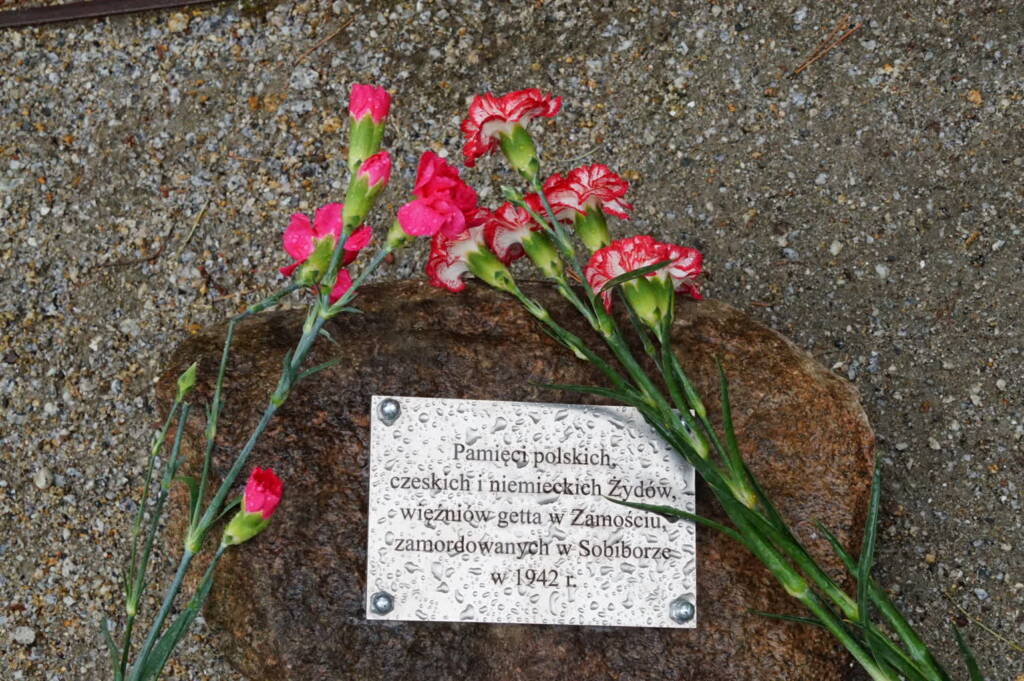 dsc00519 2025 04 25 210617