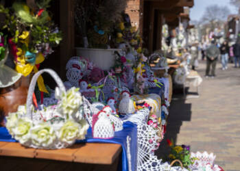 dsc07273 2025 04 12 211010