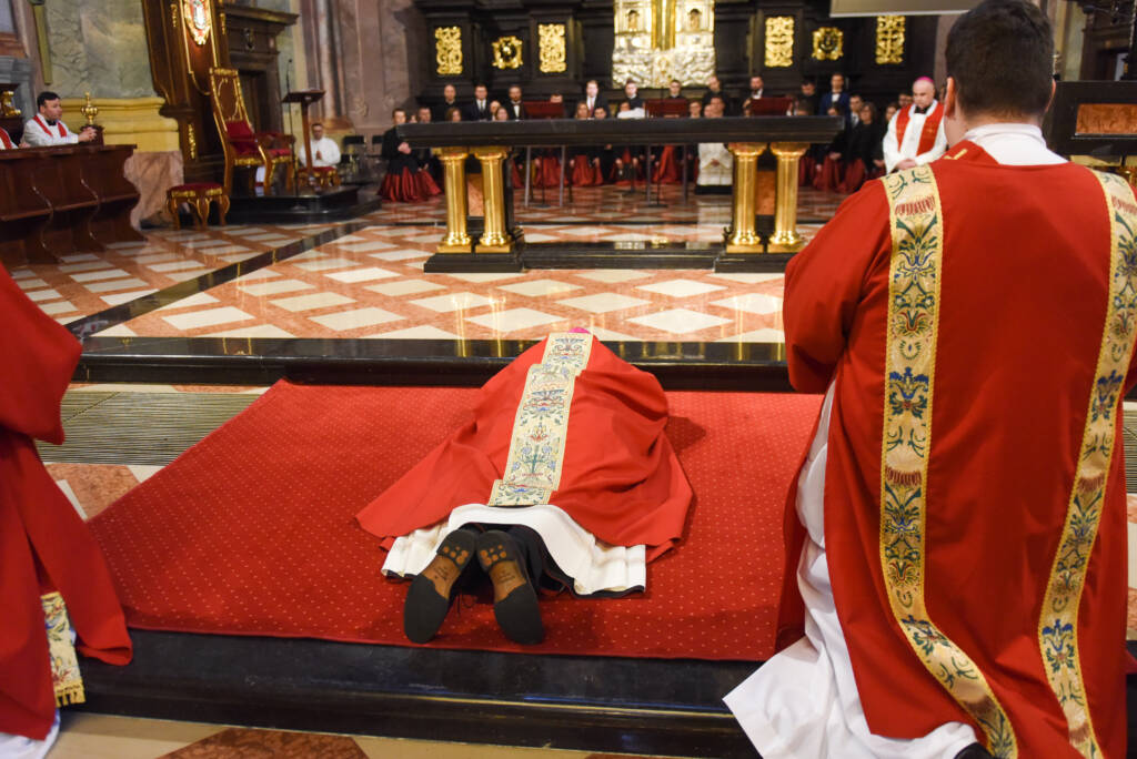 dsc 8831 2025 04 18 083829