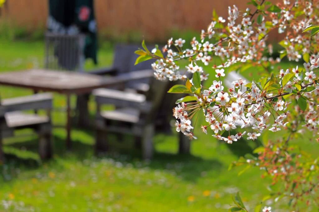 Czym kierować się, wybierając meble do ogrodu? 1 glowne 20250417133120 g19b7d56f318acf5fd2cfeba56012b9b64b1138ec704e00bd2d0d4507330d792f7f242232641a3e51dd0195184221c93f5ed0eb096a9ff920e8fecb2e192494e6 1280.jpg 2025 04 23 112213