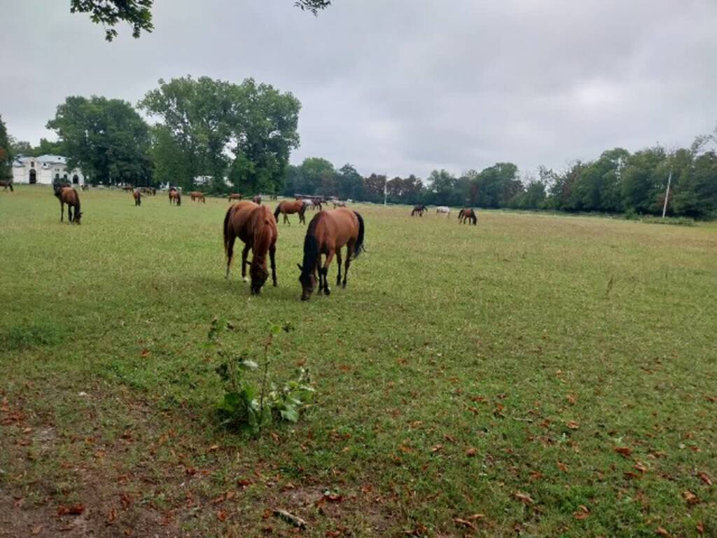 img 20240806 180443 2024 08 06 180747 2025 04 01 200446