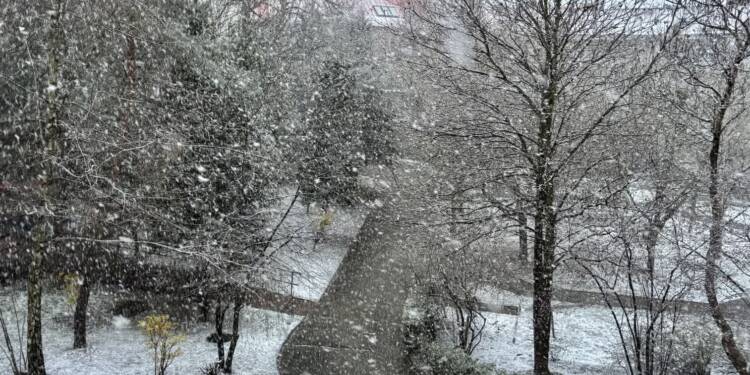 img 3562 2025 04 05 192237