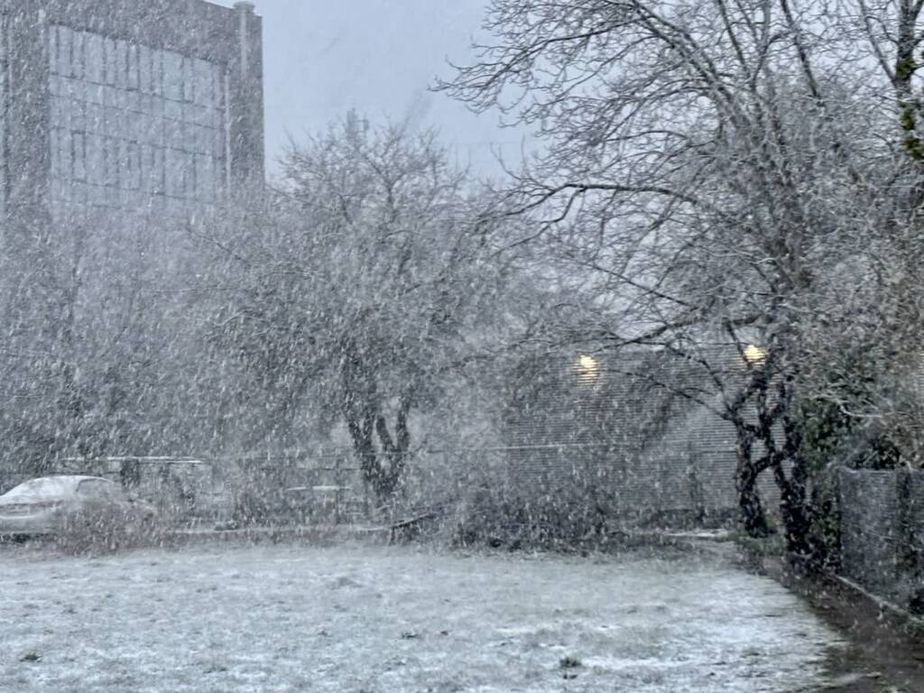 img 3565 2025 04 05 193928