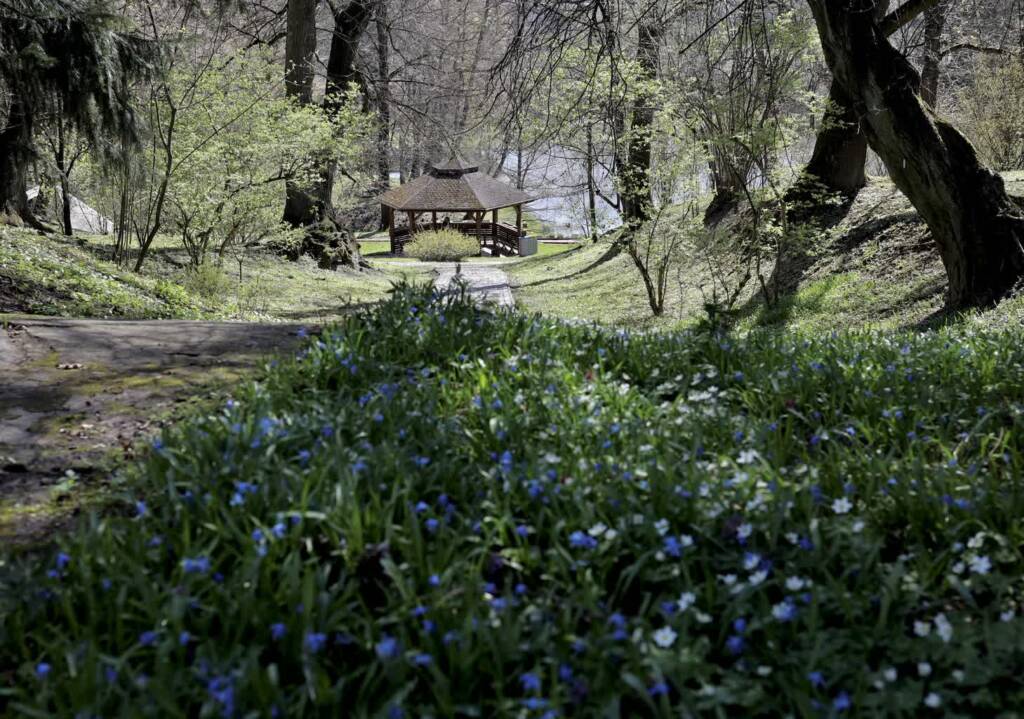 img 3935 2025 04 13 153410