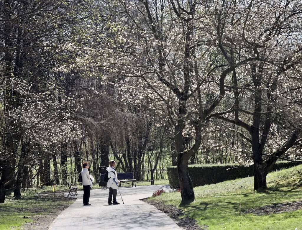 img 4090 2025 04 13 145347