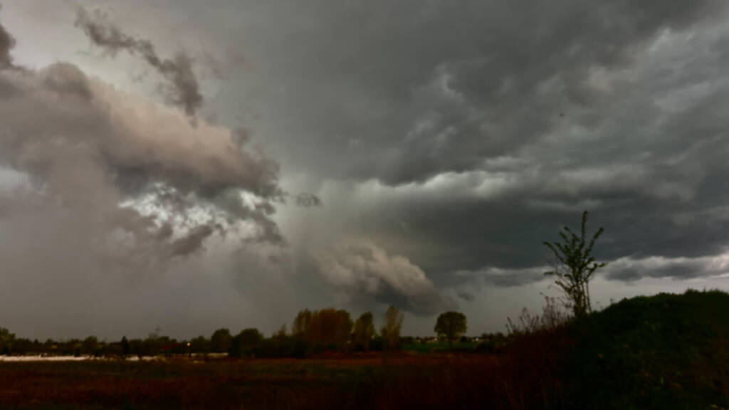 img 4457 2025 04 22 072246