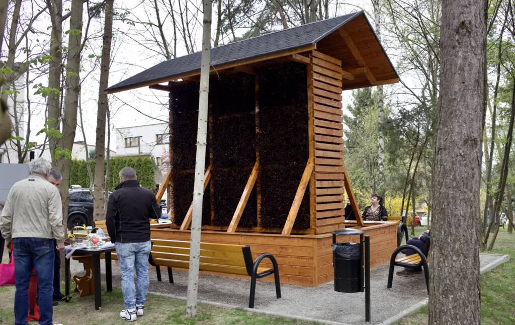 img 4475 2025 04 15 215716