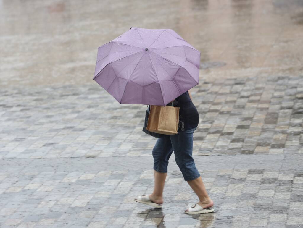 img 9268 2025 04 18 072732