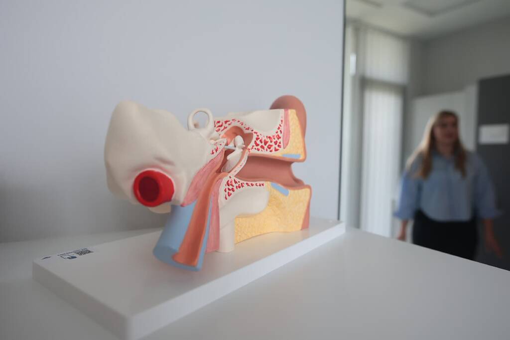 medincus 240415 004 2025 04 24 144455