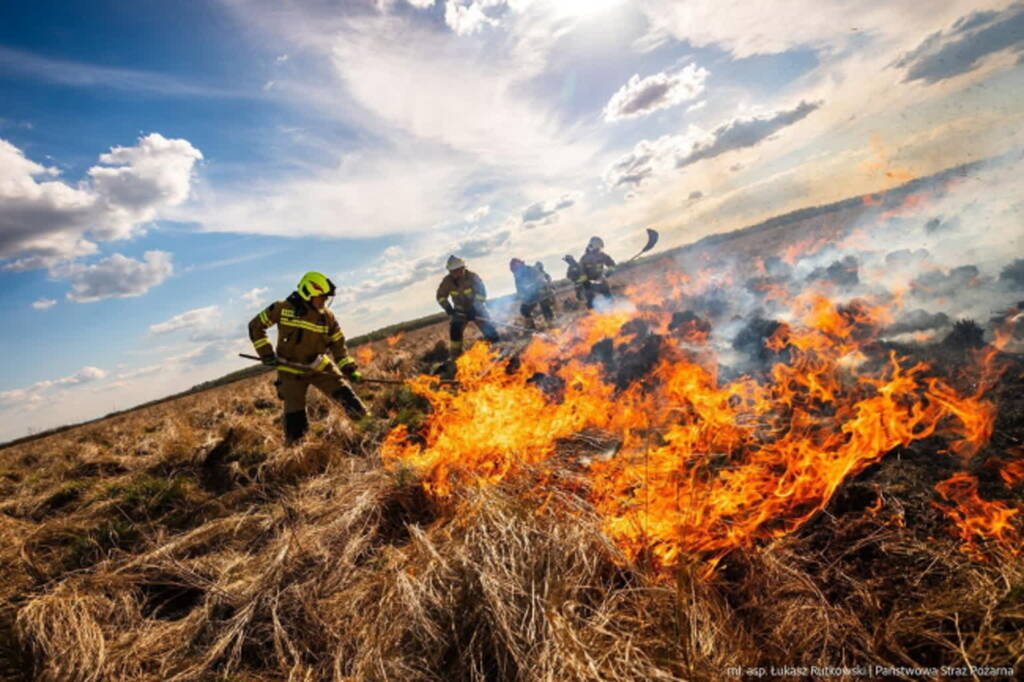 net 25420166 2025 04 21 081945