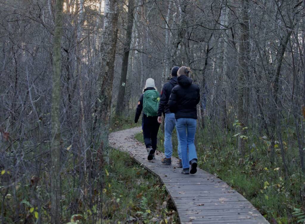 pb120007 2025 02 17 213154 2025 04 30 083734