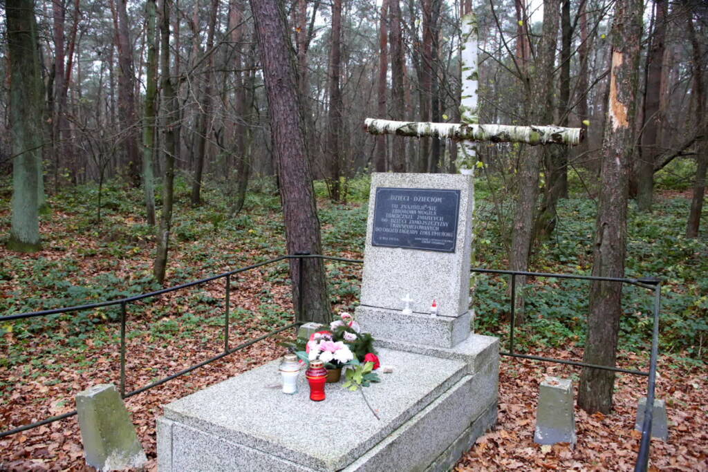 pm dzieci 241120 002 2025 04 27 114131