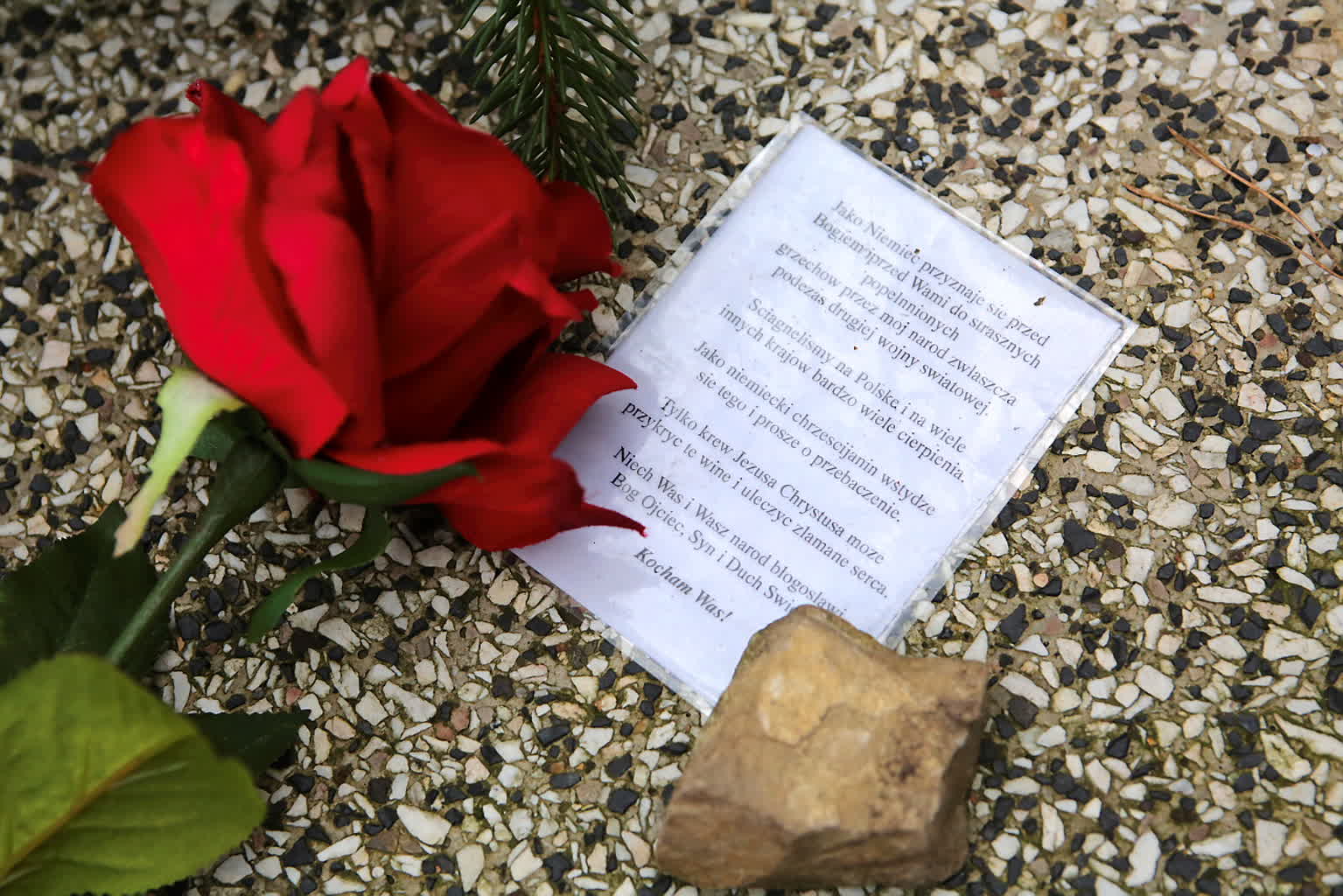 27.04.2025 Magda Grydniewska "Chcemy pamiętać o Dzieciach Zamojszczyzny" 2 pm_DZIECI-241120-005.jpg