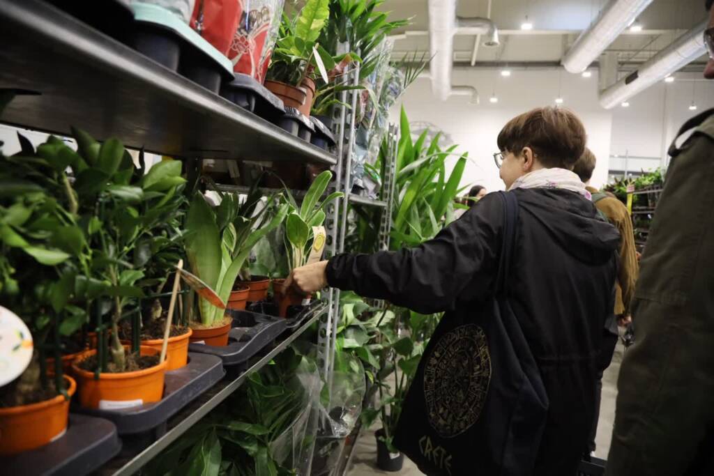 pm festiwal 121024 037 2025 04 12 072916