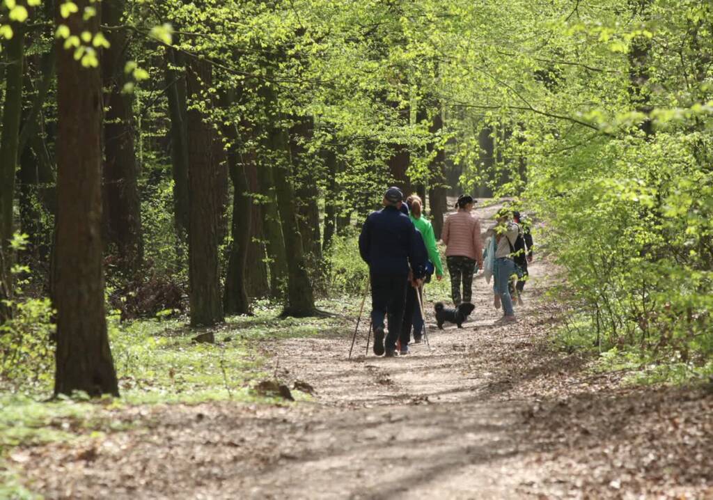 pm las 210420 040 2025 04 29 062120