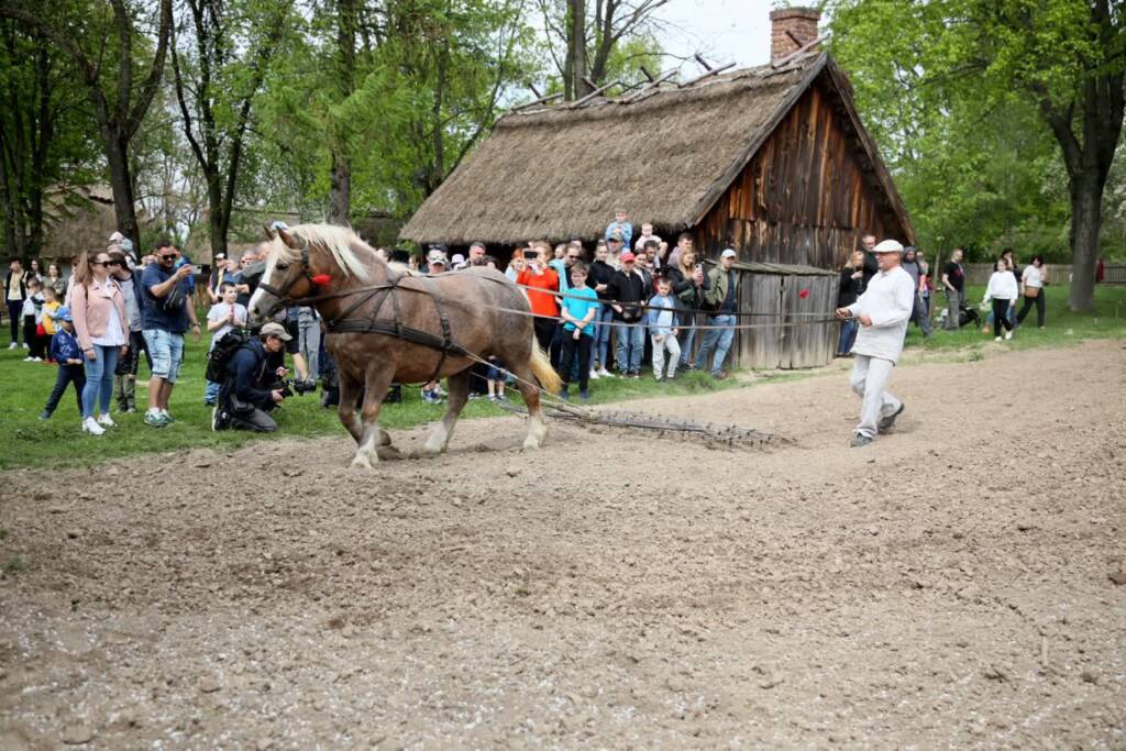 pm orka 140424 014 2024 04 14 161025 2025 04 27 094450