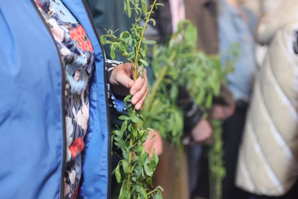 pm palmowa 280424 004 2024 04 28 142012 2025 04 13 122254