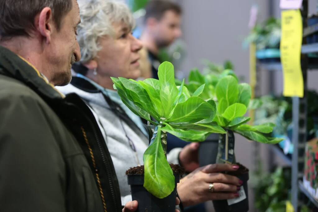 pm roslin 120425 030 2025 04 13 084724