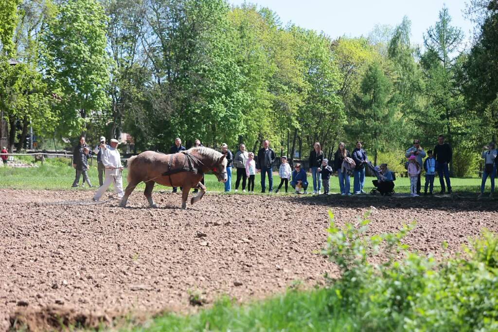 pole 270425 011 2025 04 27 152932