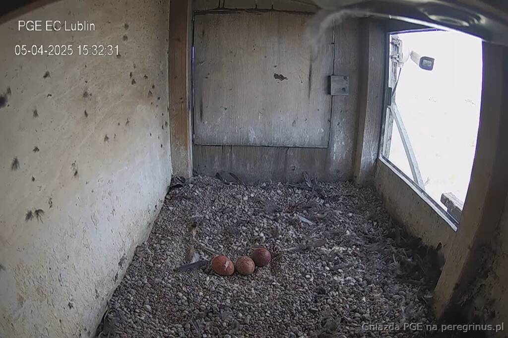 snapshot 2025 04 05 154546