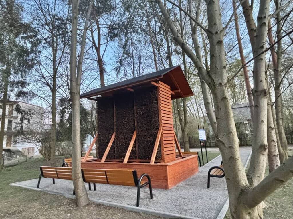 teznia 2025 04 15 070803