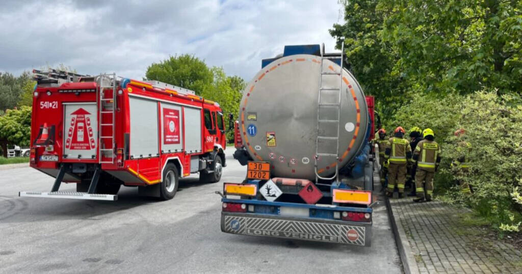 1 duzy 2 1024x768 2025 05 22 230649