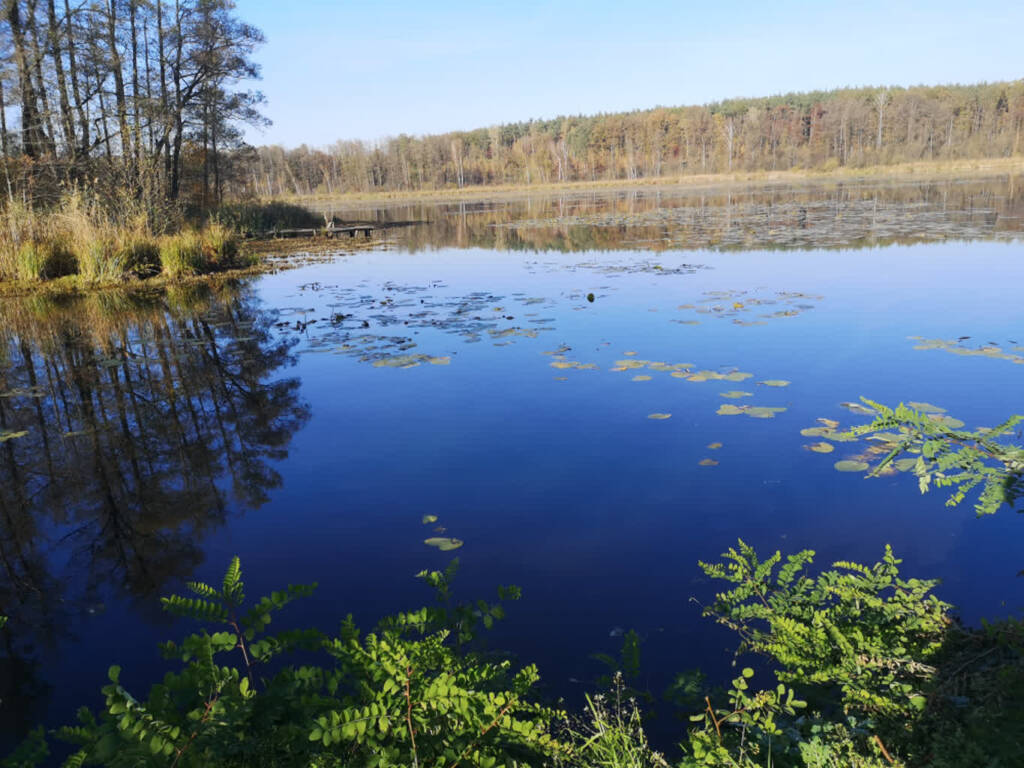25.05.2025 Naturalnie Lubelskie 1 1000 800 2025 05 26 105600
