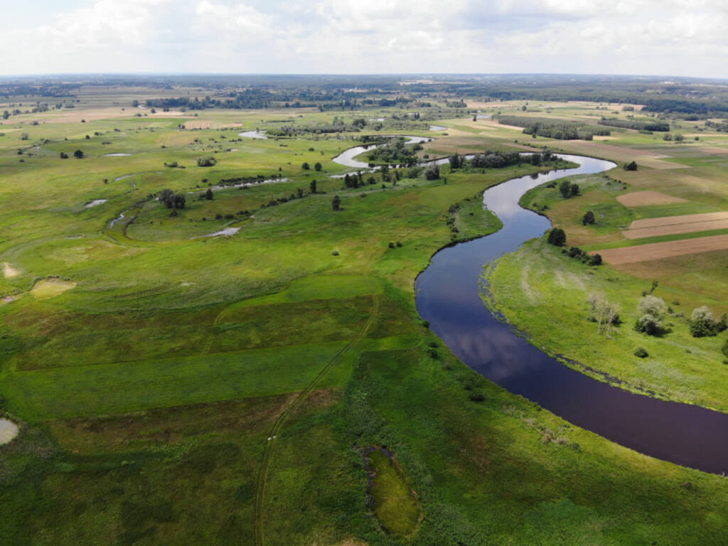 18.05.2025 Naturalnie Lubelskie 1 1000 800 1 2025 05 26 113450