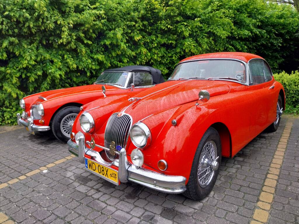 20250516 081448 2025 05 16 155931