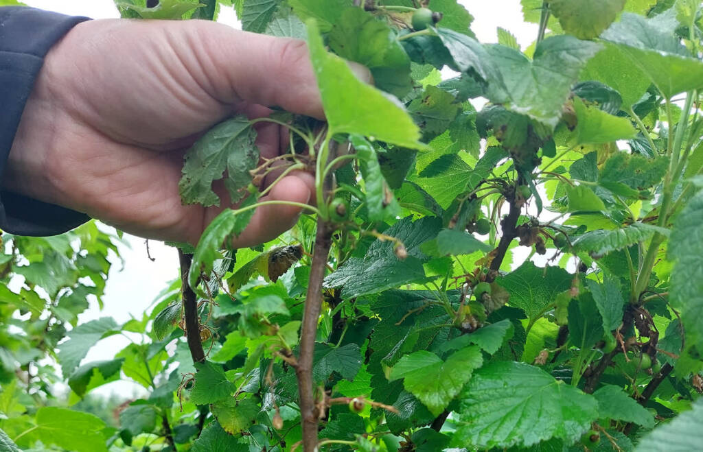 20250523 093405 2025 05 23 170953