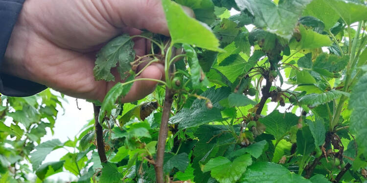 20250523 093405 2025 05 23 170953