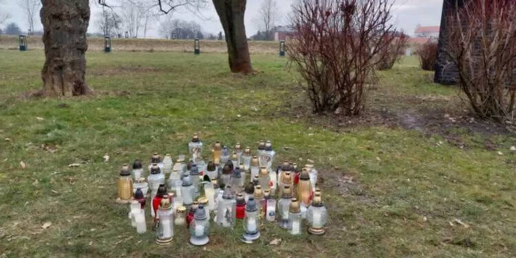 334665787 198112156145688 5752511368620092384 n 2023 03 02 171337 2023 03 06 135008 750x375 2023 04 24 125431 750x375 2025 05 22 163408