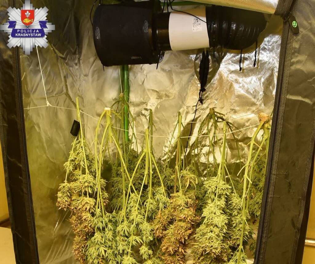 348 267188 2025 05 27 194454