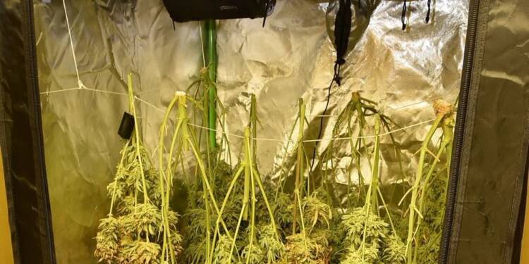 348 267188 2025 05 27 194454